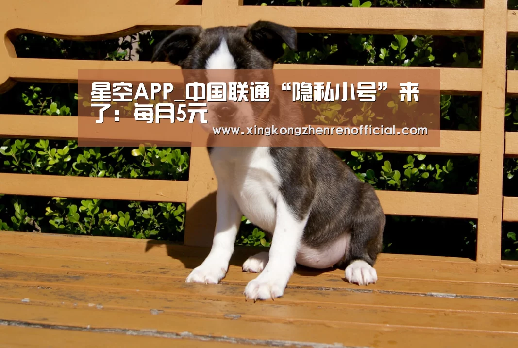 星空APP_中国联通“隐私小号”来了:每月5元(图1) 星空APP