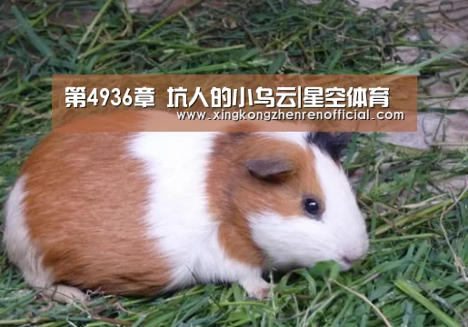 第4936章 坑人的小乌云|星空体育(图2) 星空真人