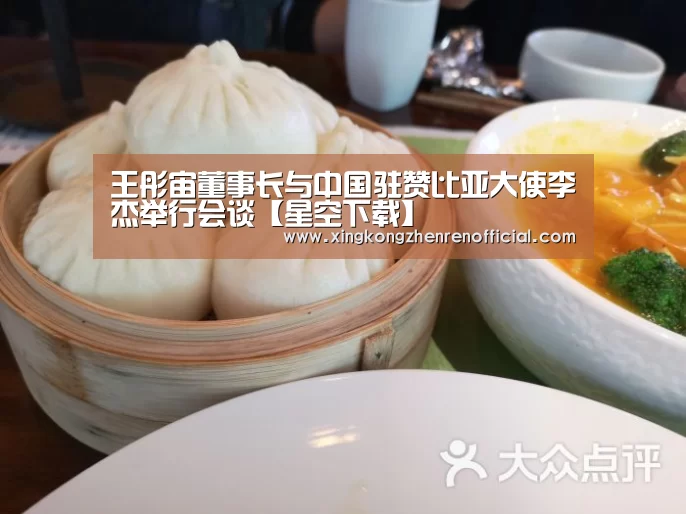 王彤宙董事长与中国驻赞比亚大使李杰举行会谈【星空下载】(图1) 星空APP